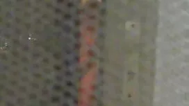 سه جوراب لباس زیر ،  ...