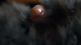 ایده آل عكس كير و كس ...