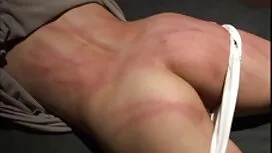 بوکسورها بعد از تمری ...