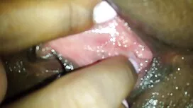 خروس عکس کونهای گشاد ...