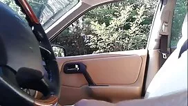 زوج های بالغ به نسل  ...