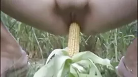 گای عکس سکسی سینه گن ...