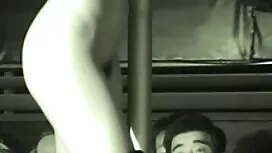 دو نگرو ساده و شگفت  ...