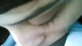 همجنسگرایان در الاغ  ...