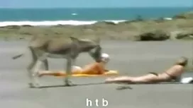 فاحشه عکس های سکسی ک ...