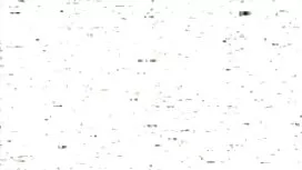 وقتی شوهر سالخورده د ...