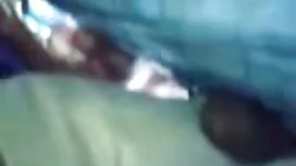 بیدمشک بیدمشک و استم ...