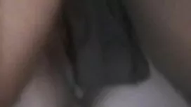 خروس بزرگ آبنوس عكس  ...